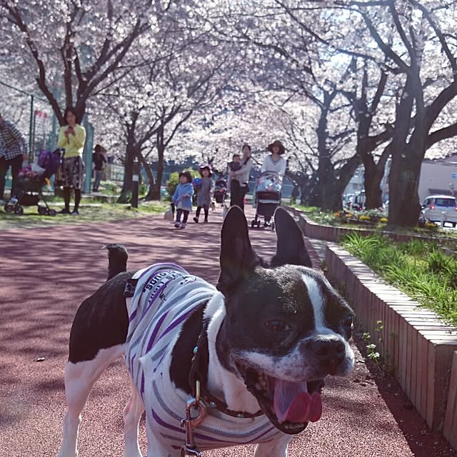 Makiさんの実例写真