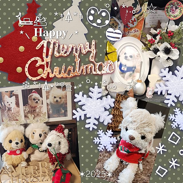 soraさんの実例写真