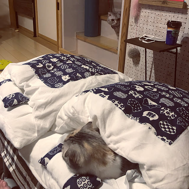 yokkochanさんの実例写真