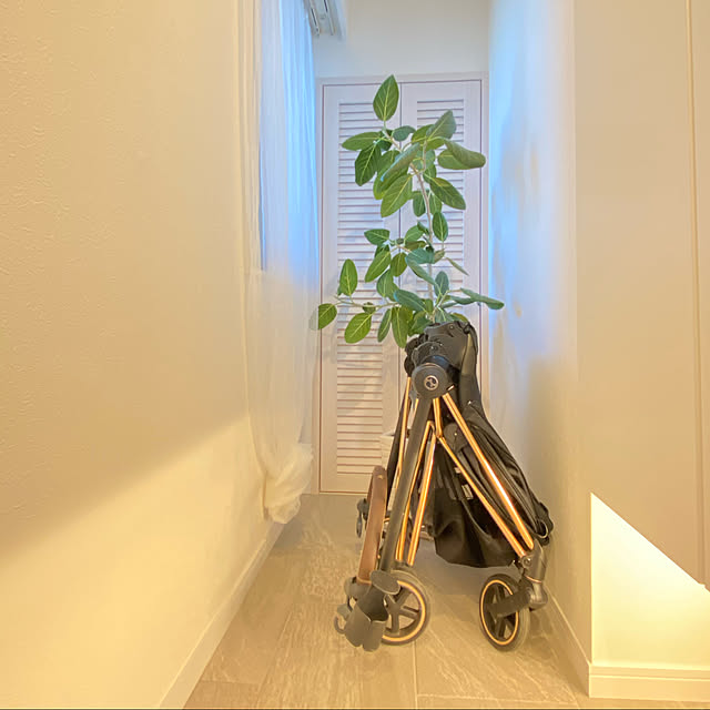 Aomamahomeさんの実例写真