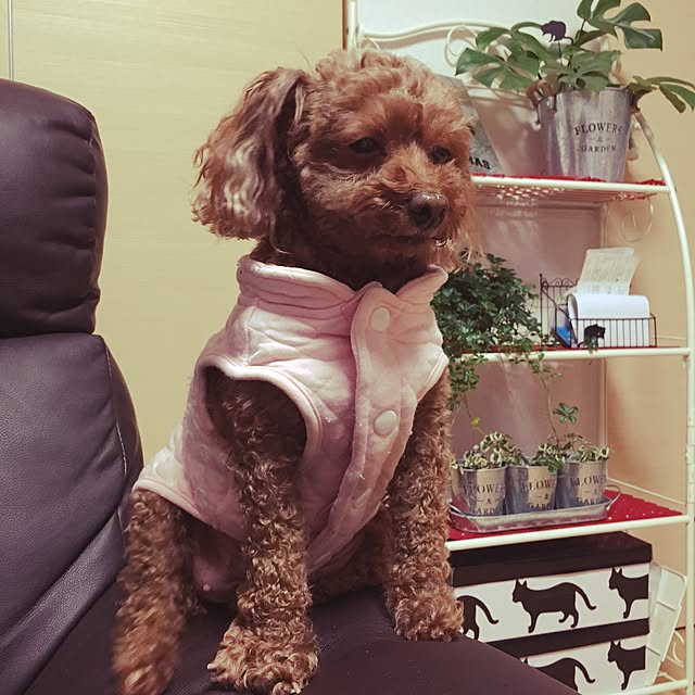 Hecacoさんの実例写真