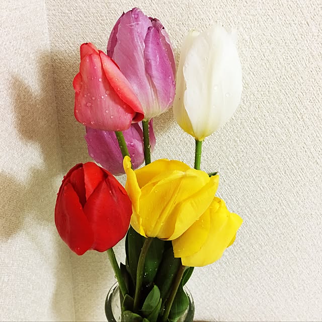 katesu1126さんの実例写真