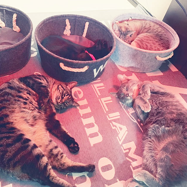 terrainさんの実例写真