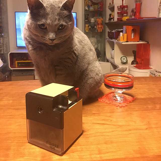 ikettenさんの実例写真