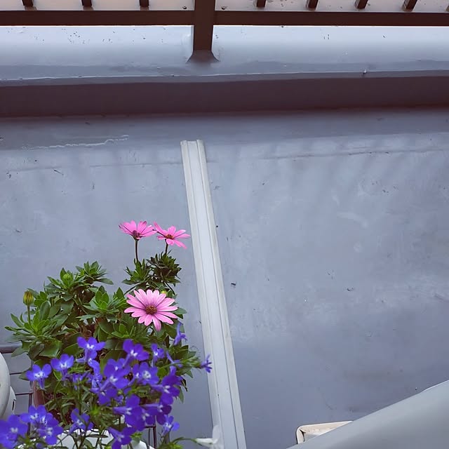 NOAHさんの部屋