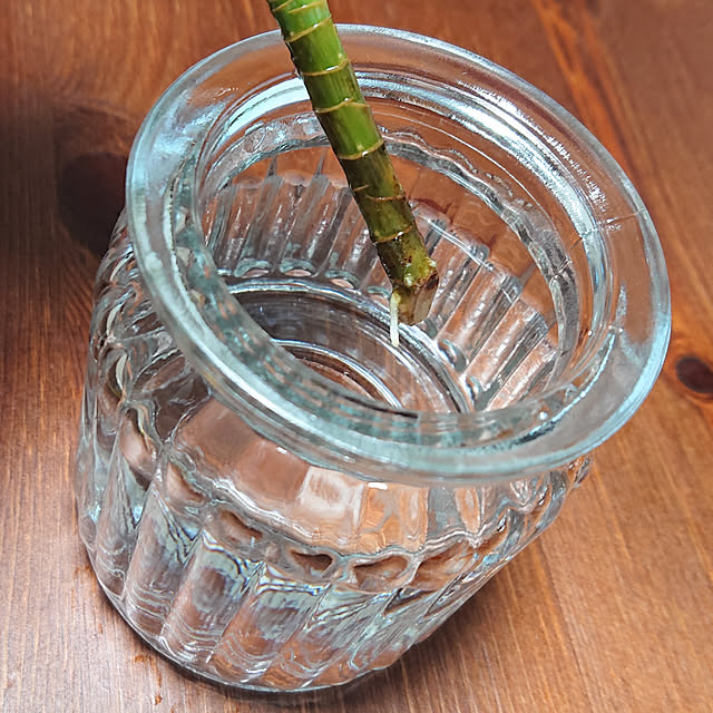 chiiikoさんの実例写真