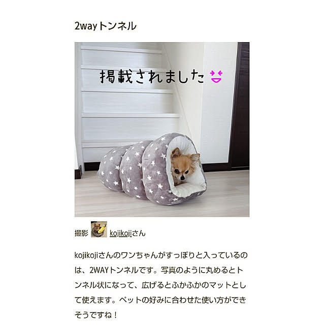 壁/天井/チワワのいる暮らし/こどものいる暮らし/いぬのいる暮らし/ありがとうございます♡...などのインテリア実例 - 2022-11-17 16:34:47
