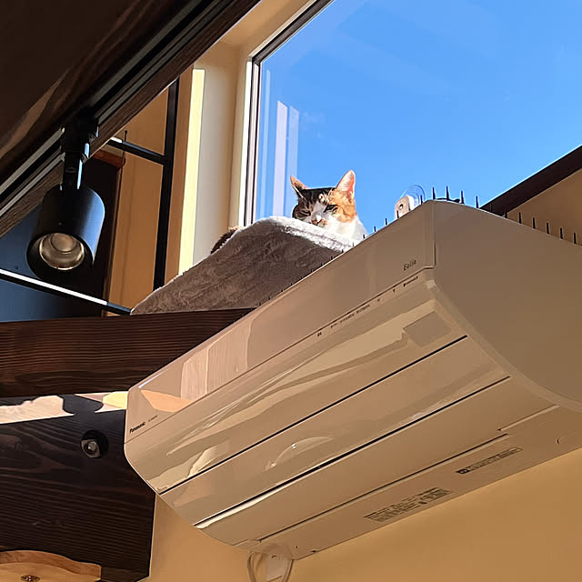 aobahahaさんの部屋