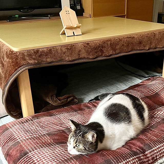 hemukoさんの実例写真