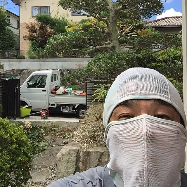 実例写真