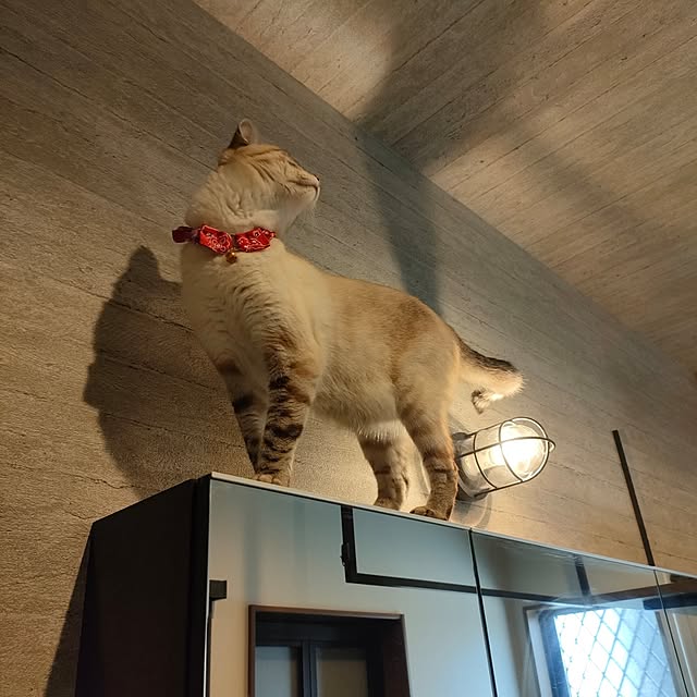 Atelier_tamakiさんの部屋