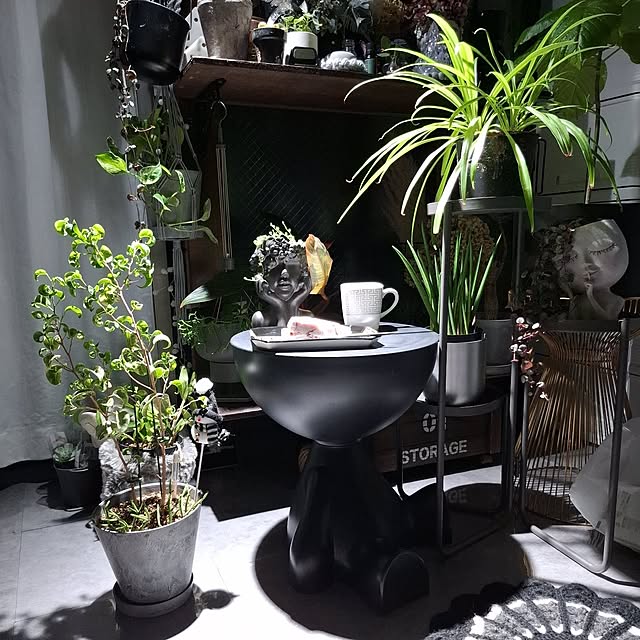 noaさんの実例写真