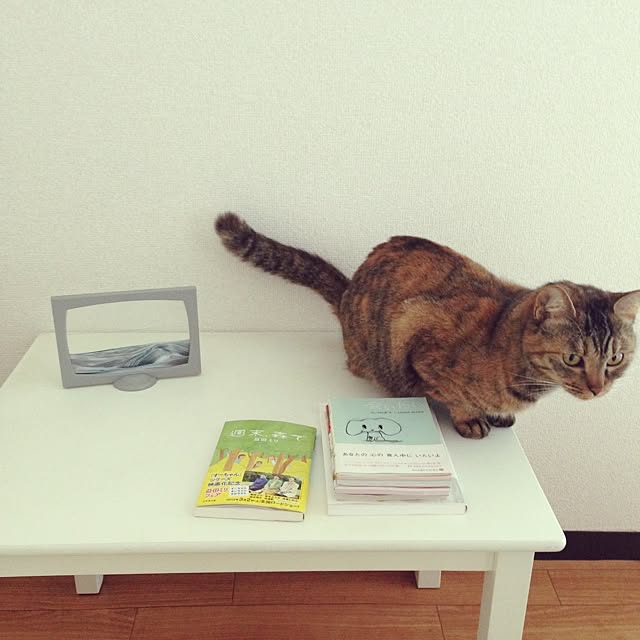 piroriさんの実例写真