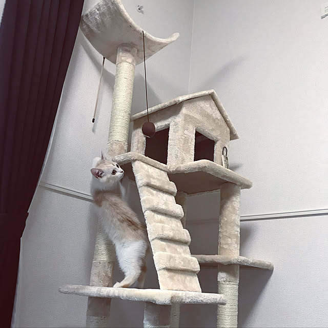 H.Tさんの実例写真
