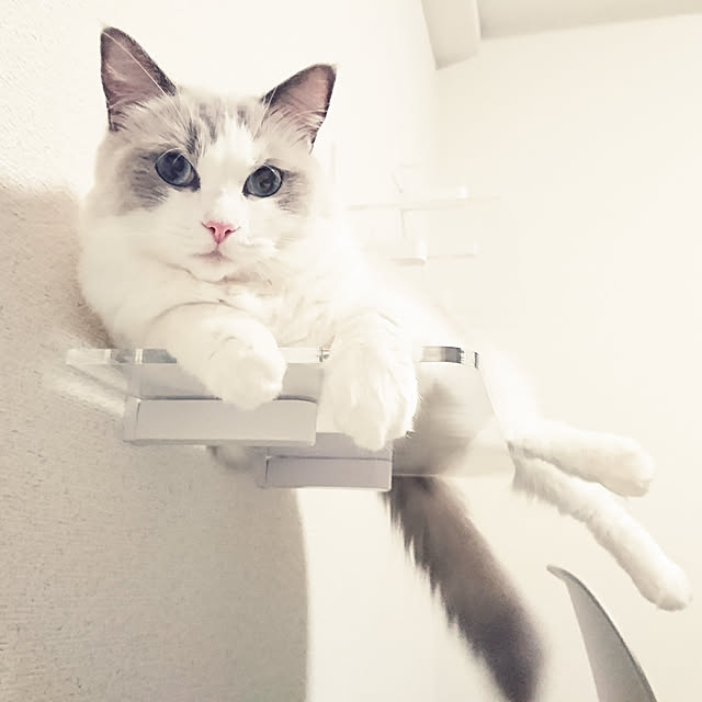 sumishouseさんの実例写真