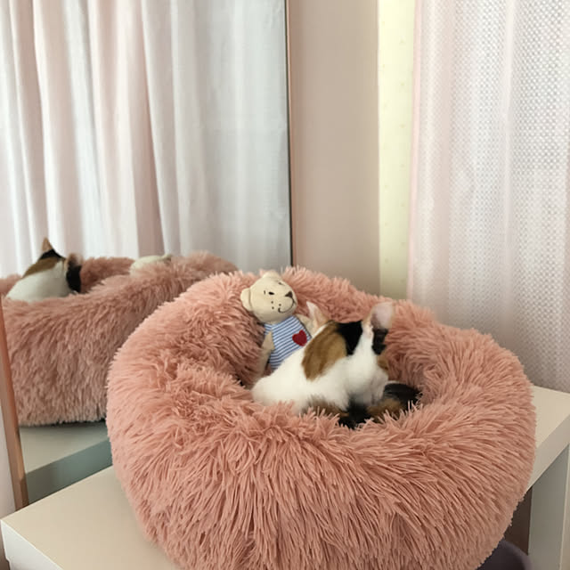 kanaさんの実例写真