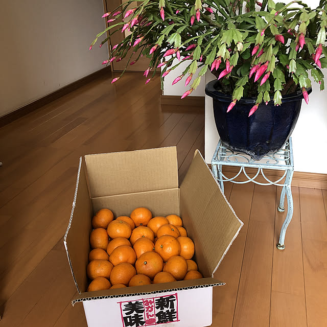 fumikoiさんの実例写真