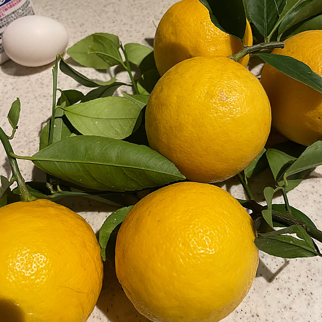 Andaluciaさんの部屋