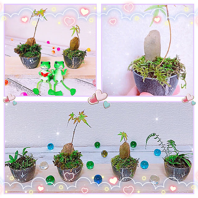 koyuriさんの実例写真
