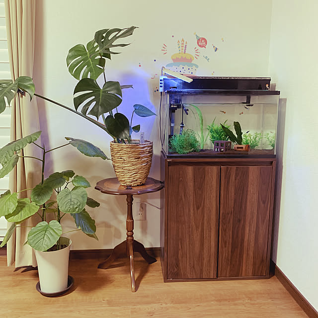 観葉植物 水槽台のおすすめ商品とおしゃれな実例 | RoomClip 観葉植物 水槽台のおすすめ商品とおしゃれな実例 | RoomClip
