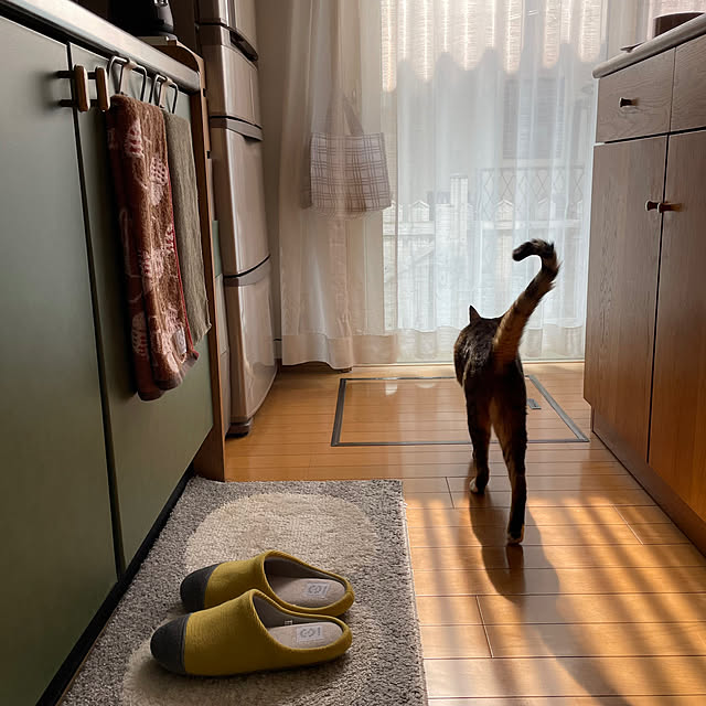 nobikoさんの部屋