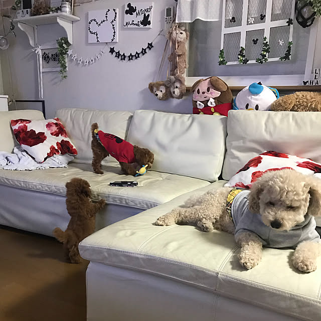 yuki89さんの実例写真