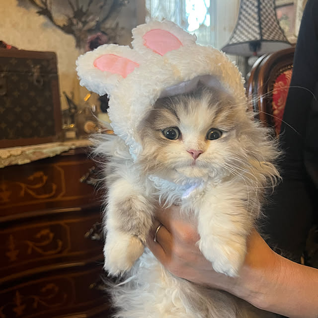 AYUKOさんの部屋