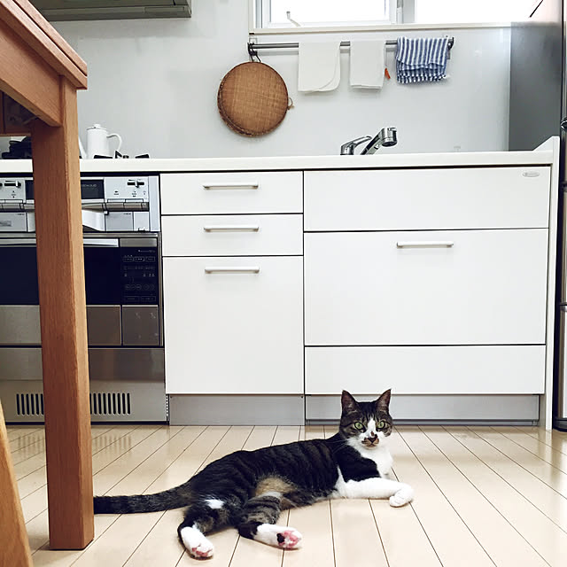JUENさんの実例写真