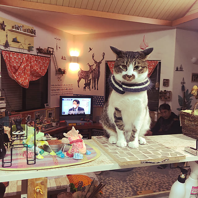 jijiさんの実例写真
