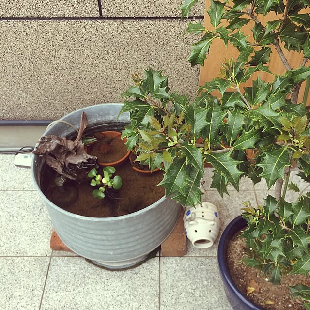 yukaさんの実例写真