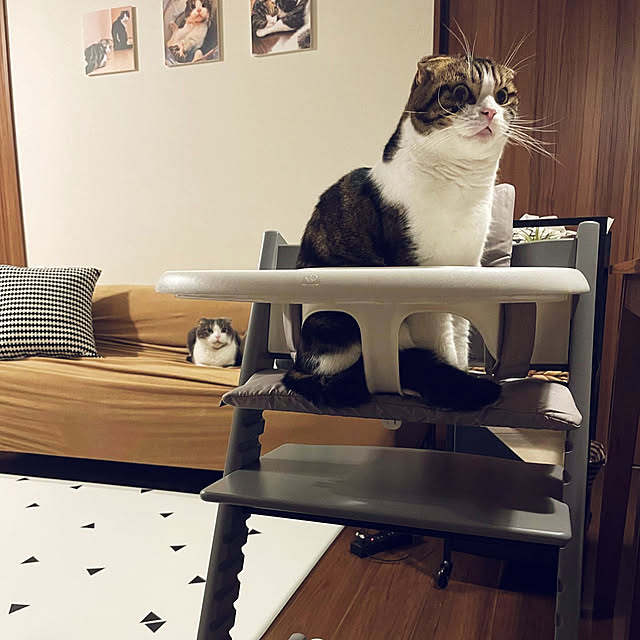 tansukeさんの部屋