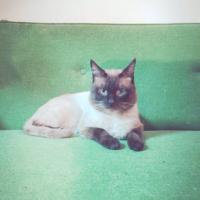keicoconutsさんの実例写真