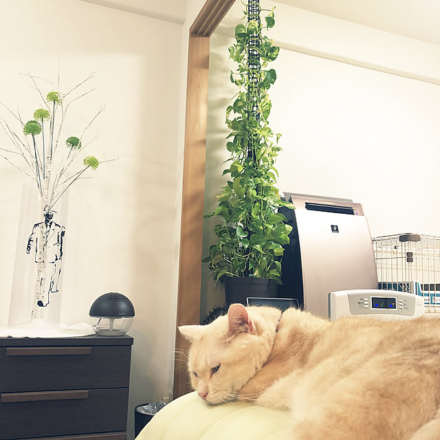 mutsuさんの実例写真