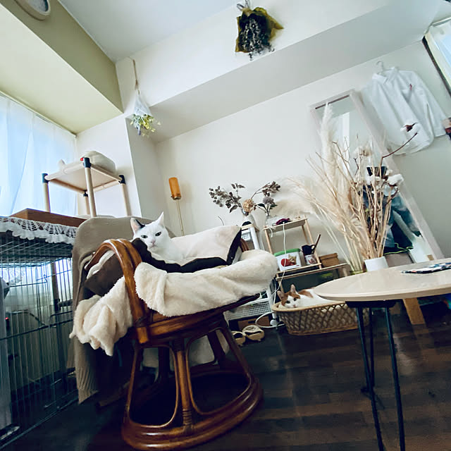 YUKAさんの実例写真