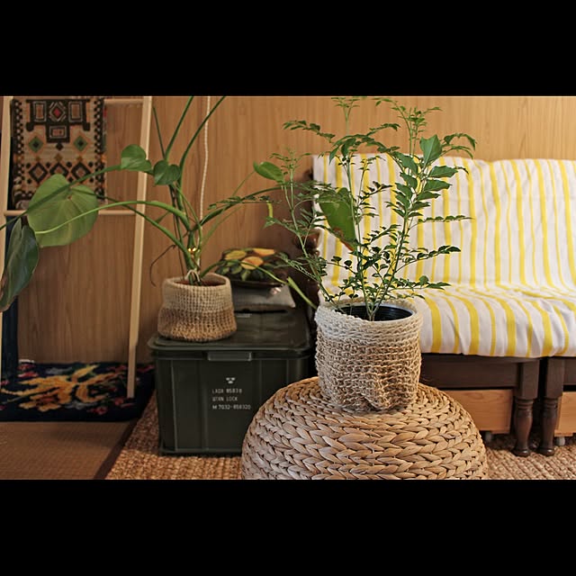 moguさんの実例写真