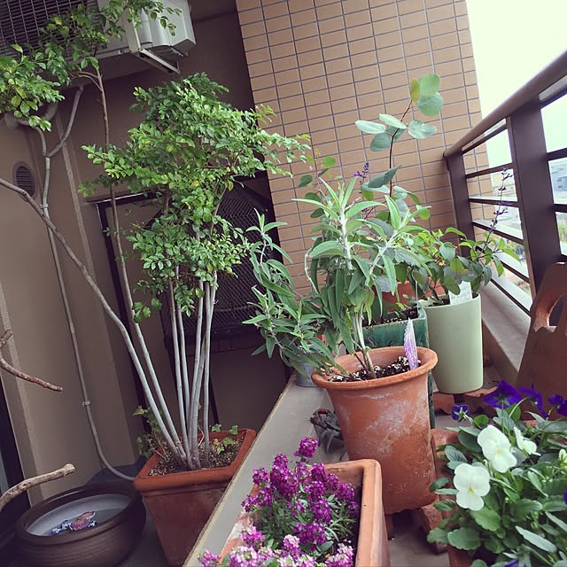 Naochanhoikuenさんの実例写真