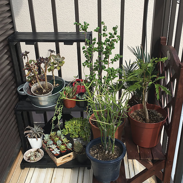 onokenkoさんの実例写真