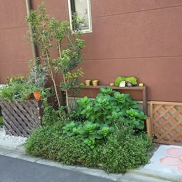 daisukeさんの実例写真