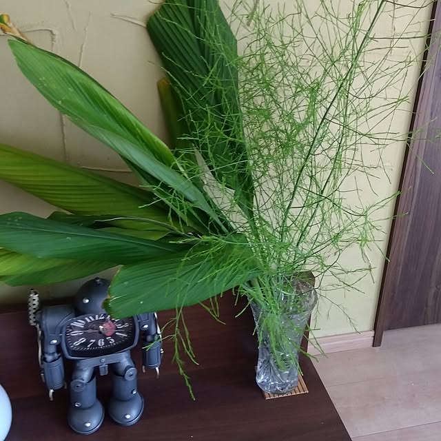 coco1204さんの部屋