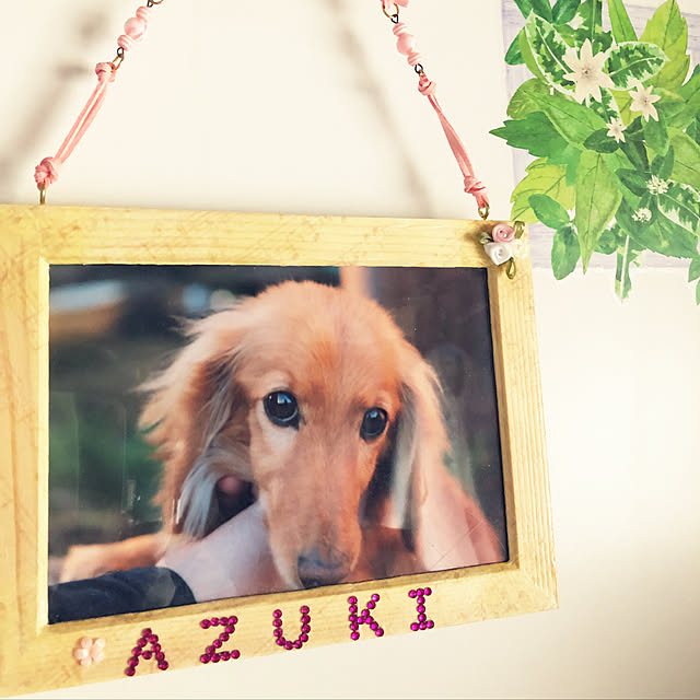 lilyさんの実例写真