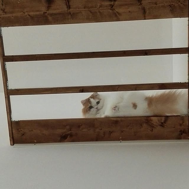 1ldksさんの実例写真