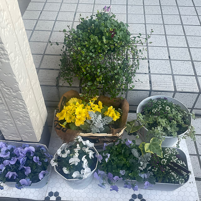 yasuhaさんの部屋