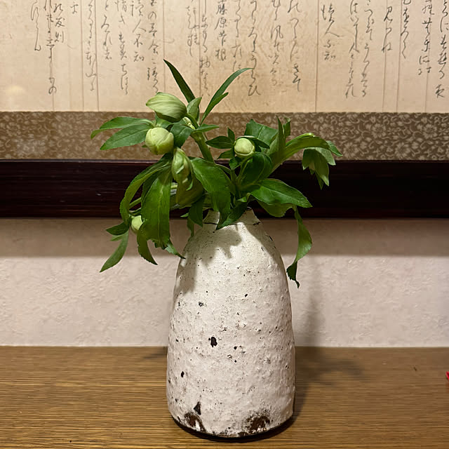 mamizaさんの部屋