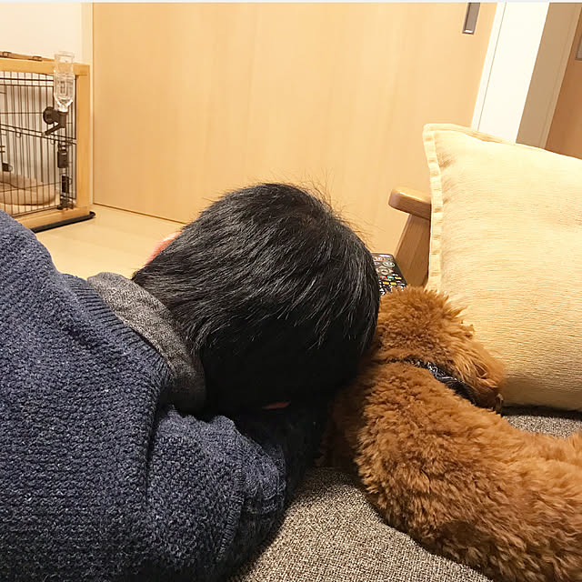 ayaさんの実例写真
