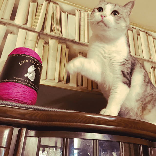 emmyyさんの実例写真