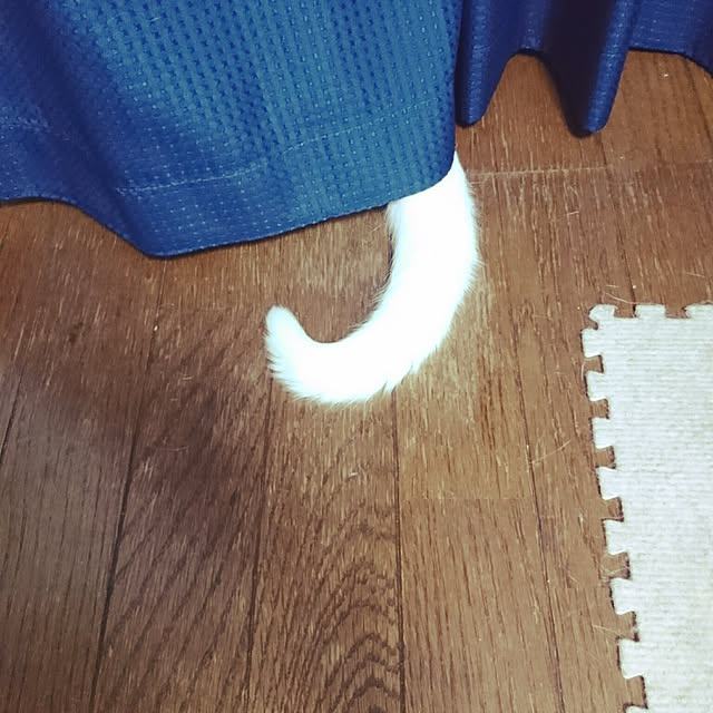 Sophie171922さんの実例写真