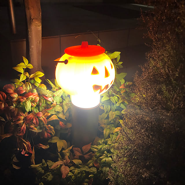 YMZKさんの実例写真
