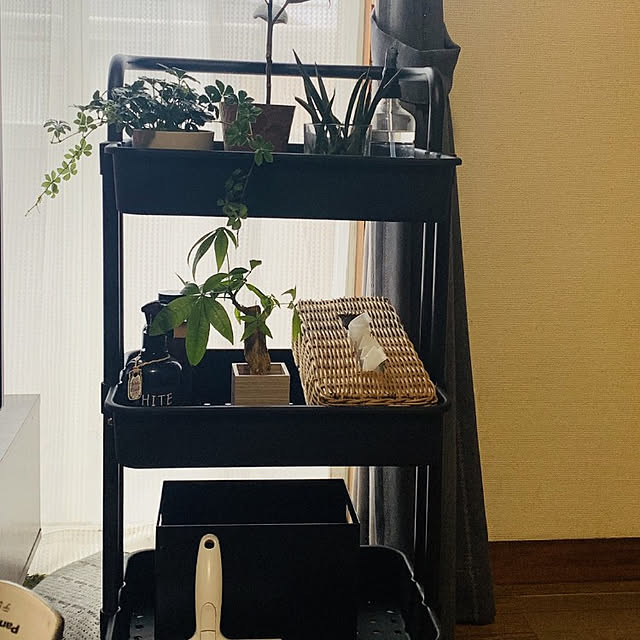 msk428815さんの実例写真