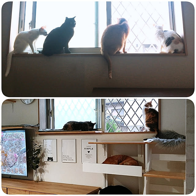 kirakirahikaruさんの実例写真