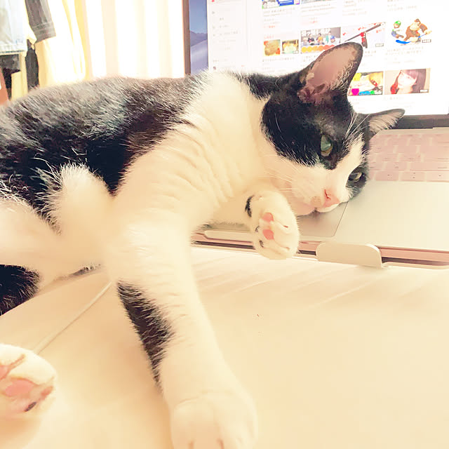 brbrnknkさんの実例写真